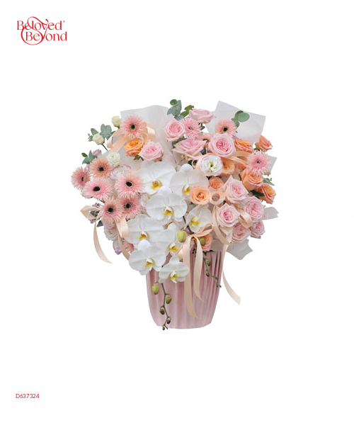 Lời Tình Yêu - belovedbeyond.com
