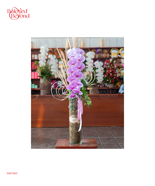 Hồ Điệp Cao Cấp 04 - belovedbeyond.com