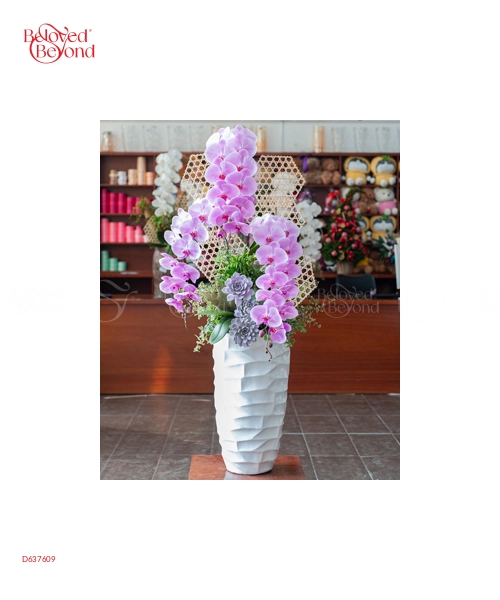 Hồ Điệp Cao Cấp 01 - belovedbeyond.com