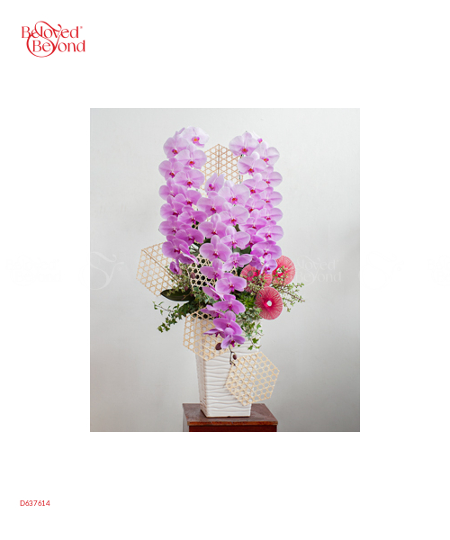 Hồ Điệp Cao Cấp 09 - belovedbeyond.com