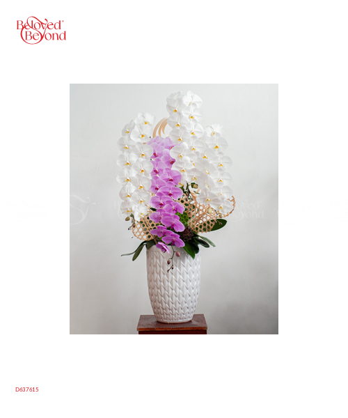 Hồ Điệp Cao Cấp 08 - belovedbeyond.com