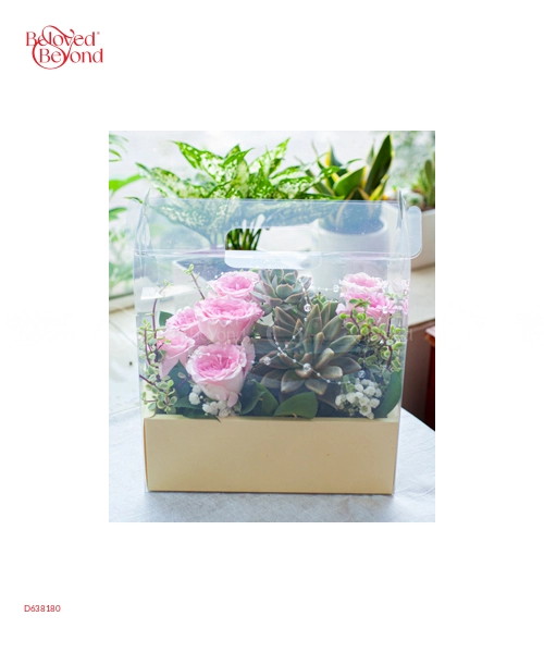 Special Day 4 - belovedbeyond.com