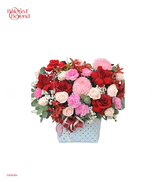 Yêu Thương 12 - belovedbeyond.com
