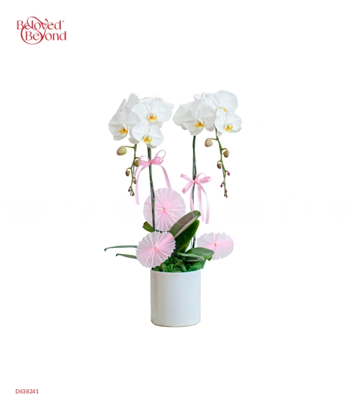 Lan Hồ Điệp 8-3 Mẫu 14 - belovedbeyond.com
