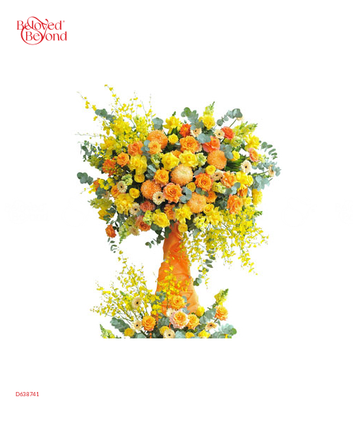 Rực Rỡ Vươn Xa - belovedbeyond.com