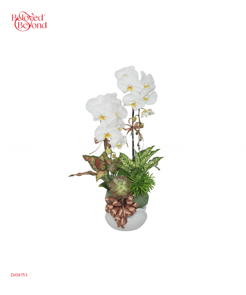 Thanh Lịch 2 - belovedbeyond.com