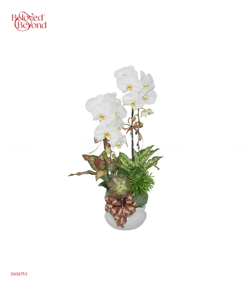Thanh Lịch 2 - belovedbeyond.com