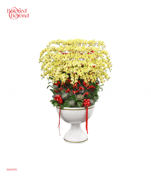Như Ý Khải Hoàn - belovedbeyond.com