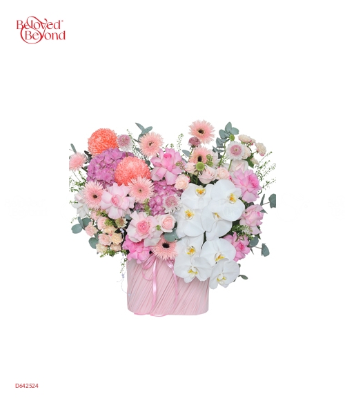 Tinh Khôi - belovedbeyond.com
