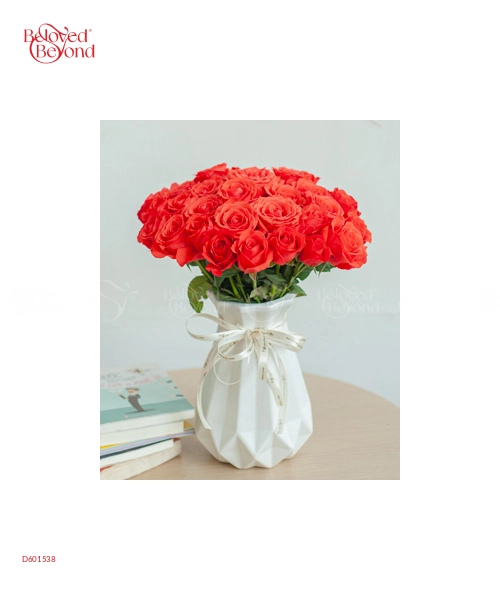 Hồng Cam Cao (25 Bông) - belovedbeyond.com