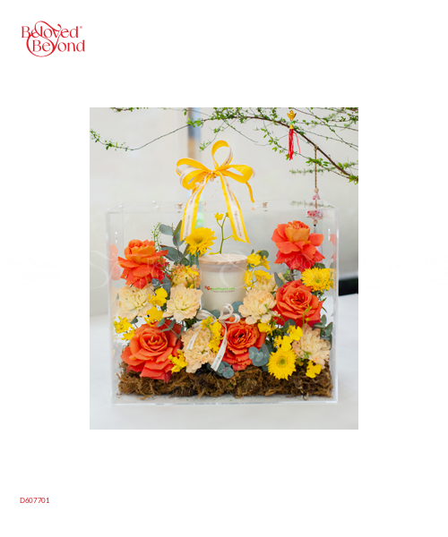 Màu Dịu Dàng - belovedbeyond.com