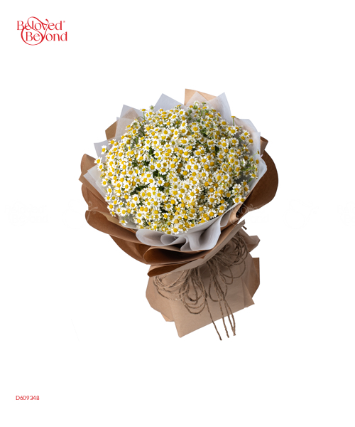 Tana Mộc Mạc - belovedbeyond.com