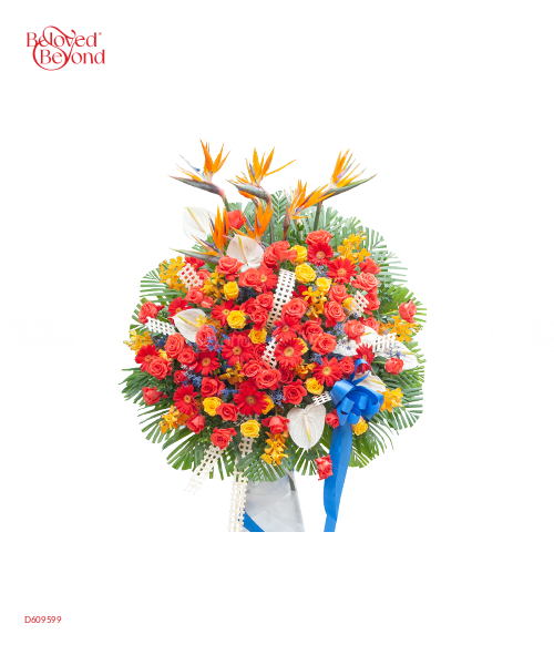 Tầm Cao Mới - belovedbeyond.com