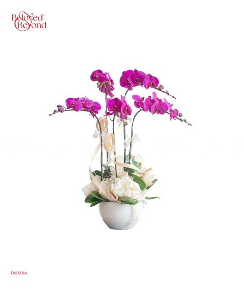 Lan Hồ Điệp Mẫu 4 - belovedbeyond.com