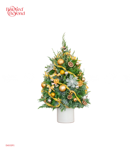 Cây Tùng Noel 1 - belovedbeyond.com