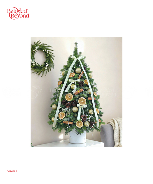 Hello December - belovedbeyond.com