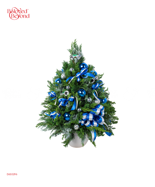 Christmas Wishes - belovedbeyond.com