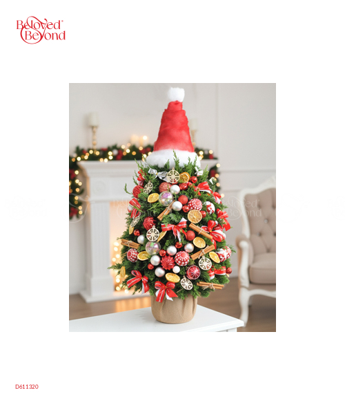 Cây Thông 70Cm Mẫu 4 - belovedbeyond.com