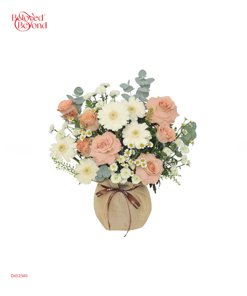 Tinh Khôi 2 - belovedbeyond.com