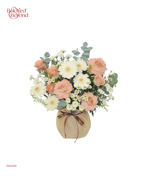 Tinh Khôi 2 - belovedbeyond.com