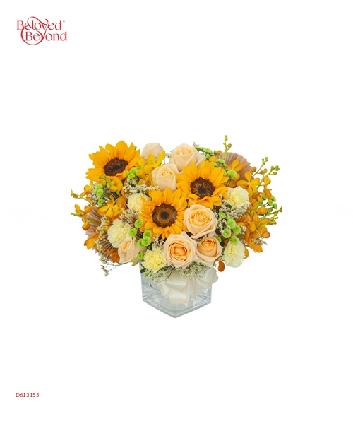Giấc Mơ Trưa - belovedbeyond.com