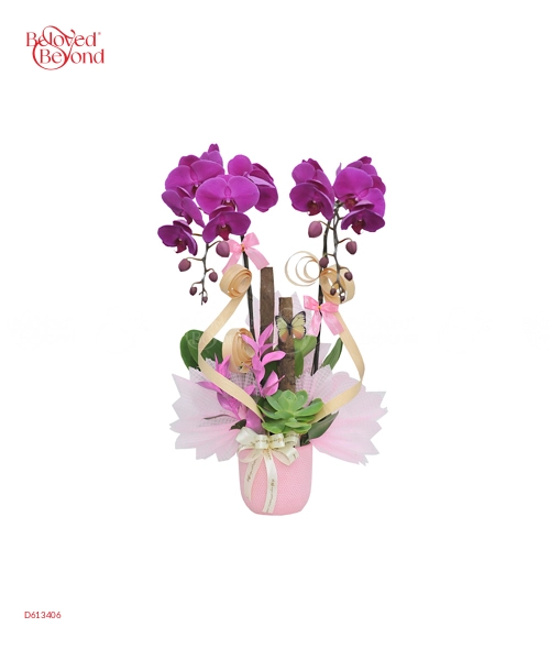 Hồ Điệp Mẫu 7 - belovedbeyond.com