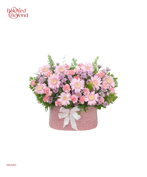 Tuổi Hồng - belovedbeyond.com