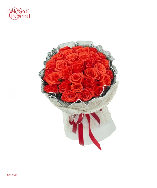 Only Rose Premium 2 - belovedbeyond.com