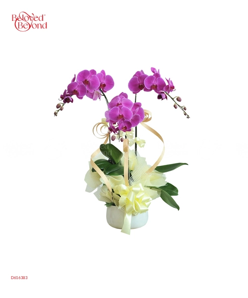 Good Way - belovedbeyond.com