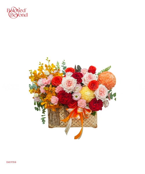 Vẹn Tròn - belovedbeyond.com