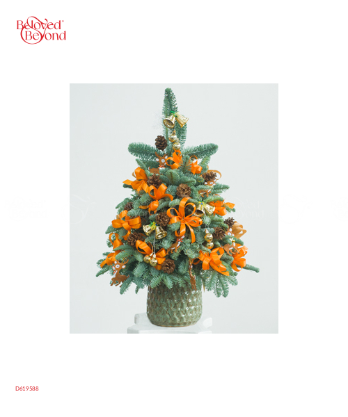 Thông Tươi Noel 80Cm 09 - belovedbeyond.com