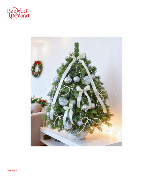 Thông Tươi Noel 100Cm 02 - belovedbeyond.com