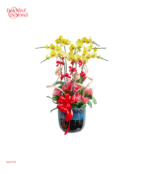 Hồ Điệp Vàng 3 - belovedbeyond.com