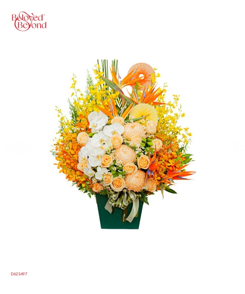 Color Life 2 - belovedbeyond.com