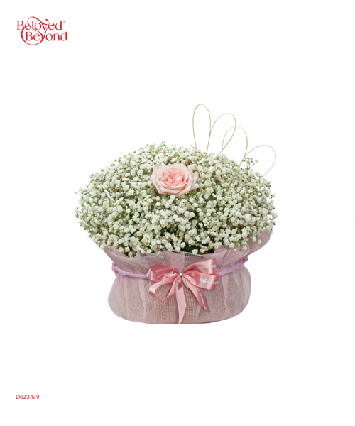 Baby Anh Yêu Em - belovedbeyond.com