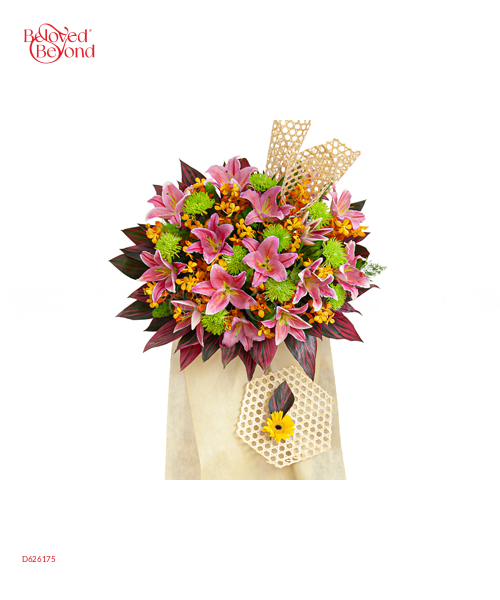 Sự Khởi Đầu - belovedbeyond.com