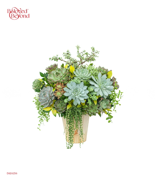 Hoa Sen Đá 4 - belovedbeyond.com
