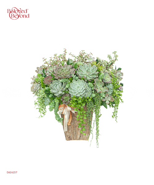 Hoa Sen Đá 3 - belovedbeyond.com