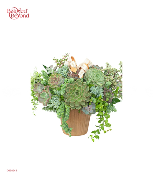 Hoa Sen Đá 8 - belovedbeyond.com