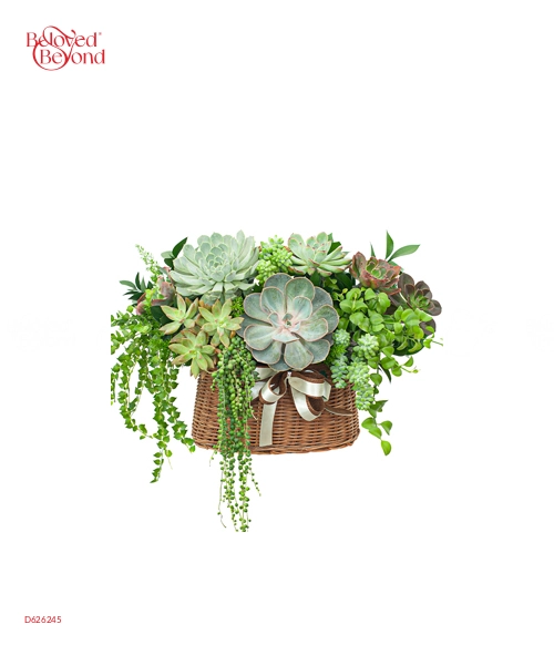 Hoa Sen Đá 6 - belovedbeyond.com