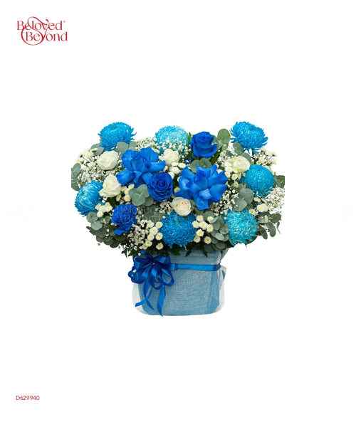Niềm Hi Vọng - belovedbeyond.com