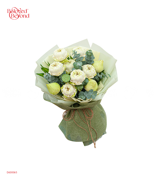 Bạch Liên Hoa - belovedbeyond.com