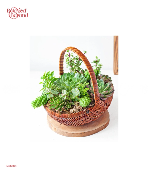 Hoa Sen Đá 28 - belovedbeyond.com