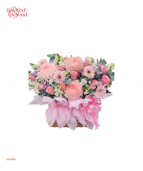 Hoa Sen Đá 26 - belovedbeyond.com