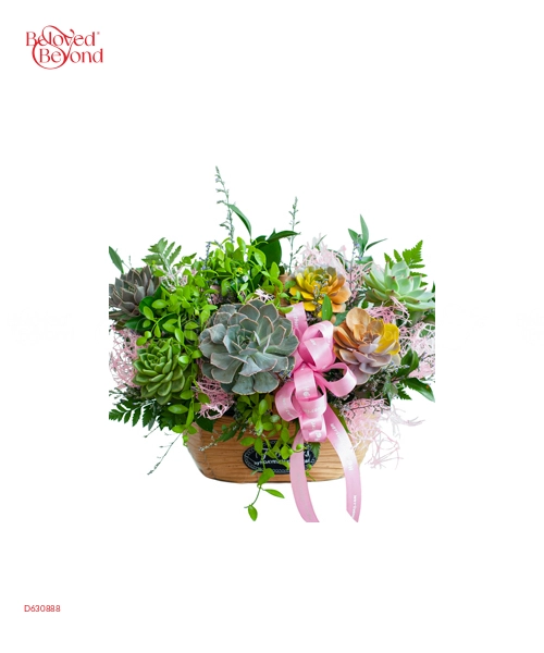 Hoa Sen Đá 24 - belovedbeyond.com