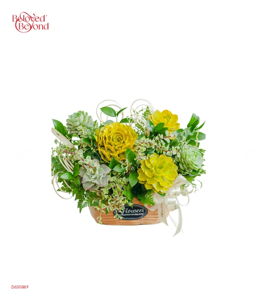 Hoa Sen Đá 23 - belovedbeyond.com
