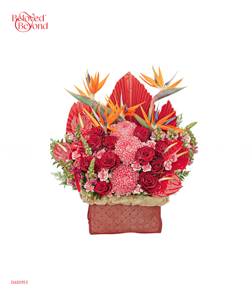 Chinh Phục Thành Công - belovedbeyond.com