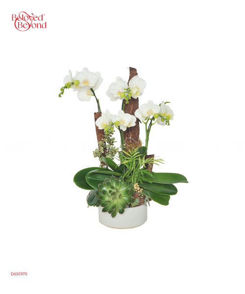 Dịu Dàng Bên Em - belovedbeyond.com