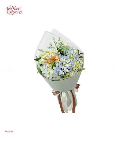 Cẩm Tú Cầu Và Em - belovedbeyond.com