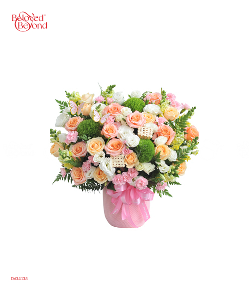 Đón Nắng Trở Về - belovedbeyond.com